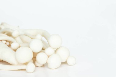 Beyaz arkaplanda mantarlar.