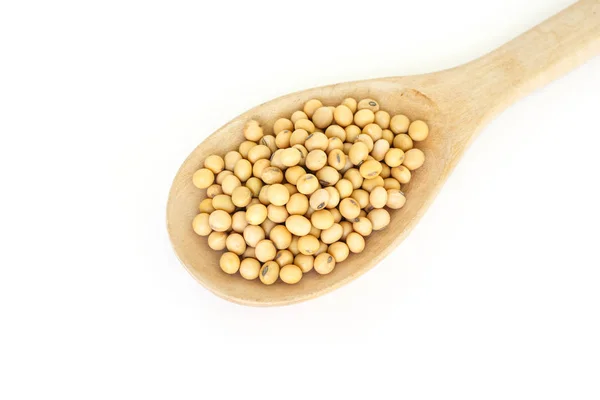 白い背景の上のスプーン健康野菜食糧の大豆豆植物の種子 — ストック写真