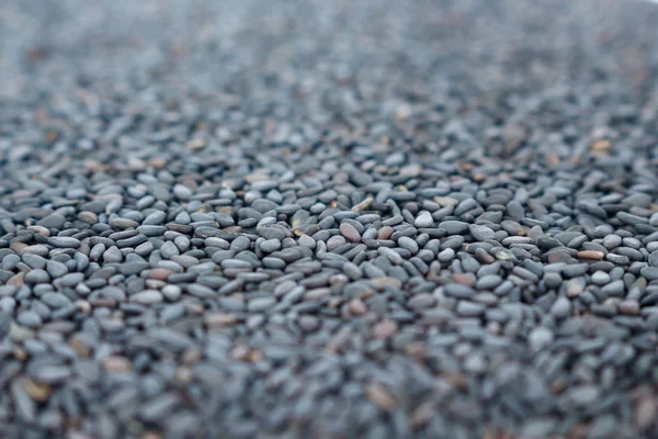 Pile Black Sesame Background — Stock Photo, Image