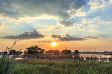 güneş manzara odaklanmak günbatımı pirinç