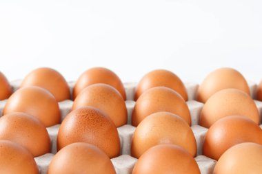 Beyaz arka plan üzerinde tepsisinde yumurta tavuk.