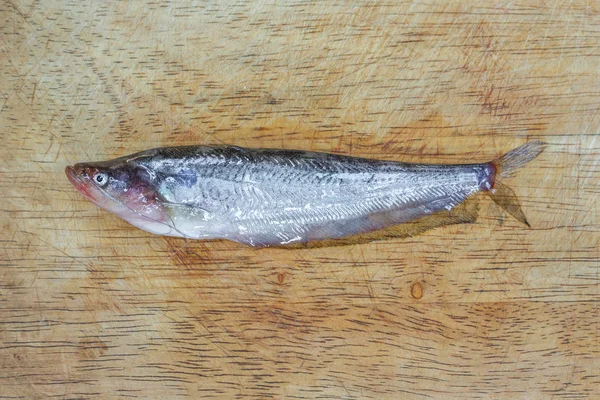 Peixe Água Doce Sobre Fundo Madeira — Fotografia de Stock