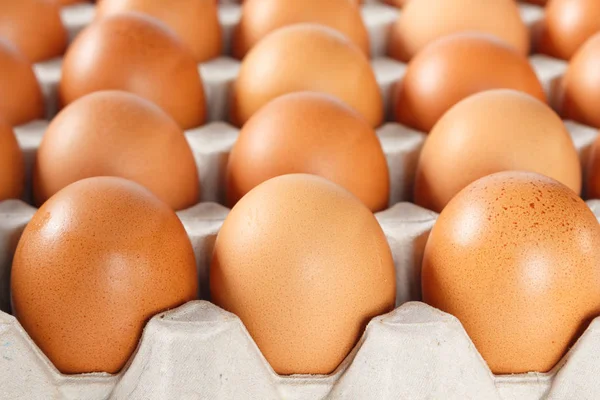 Yumurta Tavuk Tepsi Tam Doku Arka Planda — Stok fotoğraf