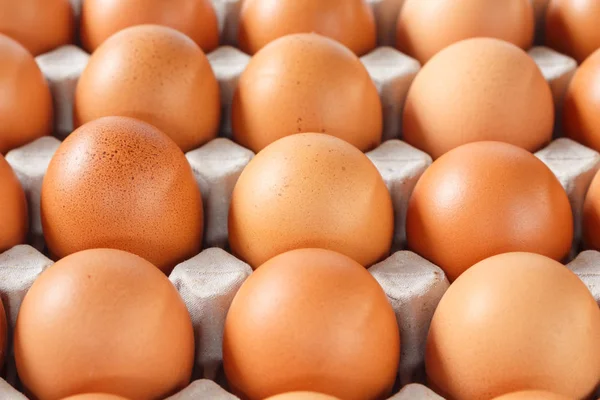 Egg Chicken Tray Full Texture Background — Stock Photo, Image