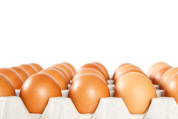 Beyaz Arka Plan Üzerinde Tepsisinde Yumurta Tavuk — Stok fotoğraf