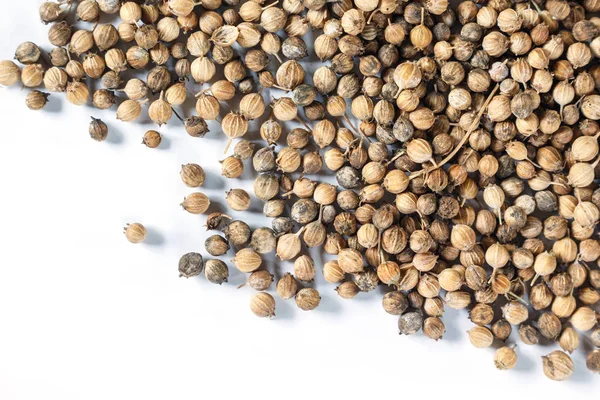 Coriander Seed White Background Stock Picture