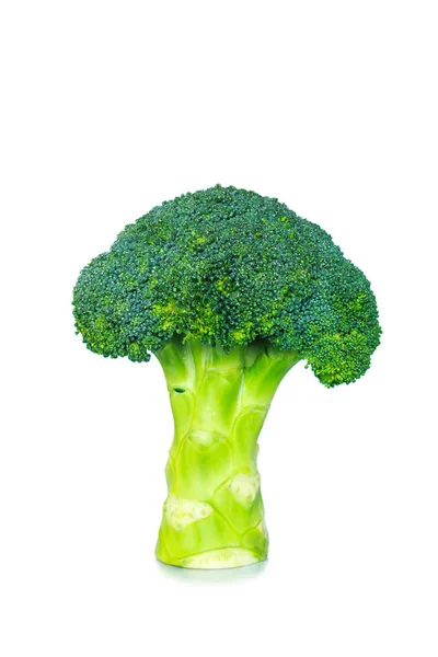 Broccoli Witte Achtergrond — Stockfoto