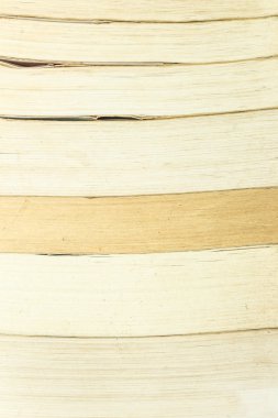 kitaplıkrafta kitap yığını.