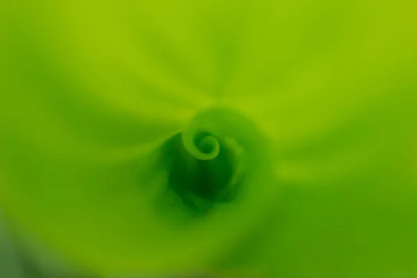 Yeşil Yaprak Dokusu Arkaplanı — Stok fotoğraf
