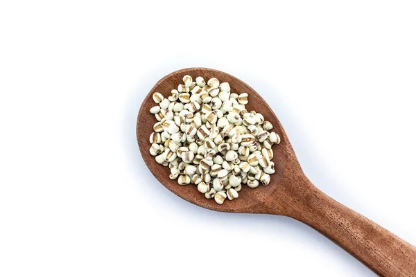 Job's tear in spoon on white background. — Stock Image Job Tear Spoon White Background Stock Photo