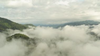 Yeşil dağların tepesinde bulutlar arasında uçuyor. Sisli yağmur ormanlarının hava görüntüsü