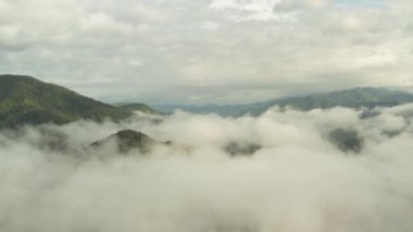 Yeşil dağların tepesinde bulutlar arasında uçuyor. Sisli yağmur ormanlarının hava görüntüsü