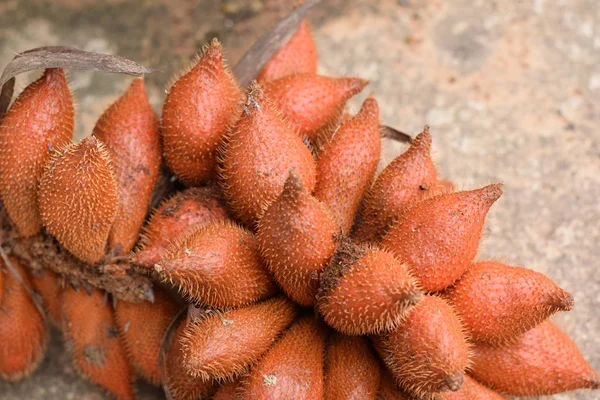 Salak meyve (Salacca zalacca) yakın Malezya, Tayland ve Endonezya dili yerel meyve