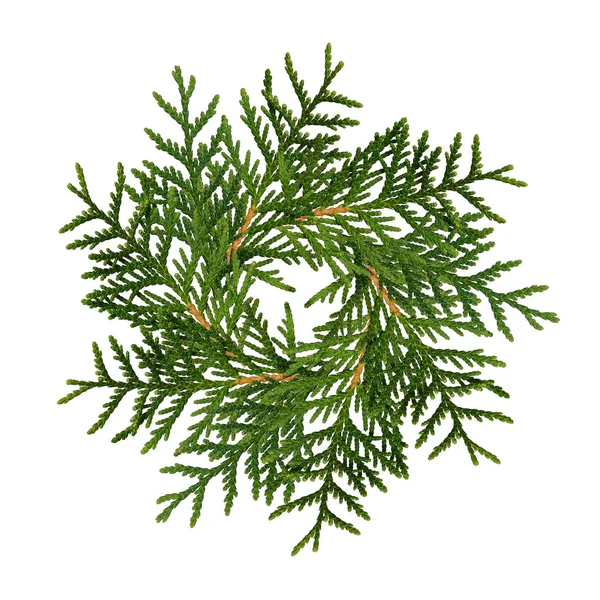 Christmas Wreath Thuja Twigs Isolated White — Stock Photo, Image