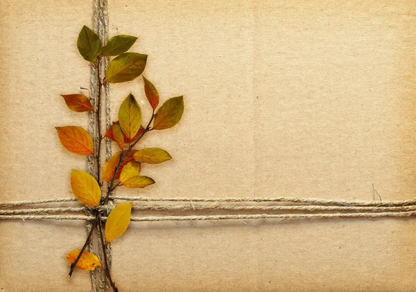 Brown cardboard tied with rope and autumn leaves — Stock Photo, Image