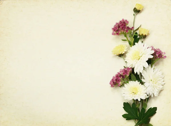 Flowers bouquet on wintage paper — Stock Photo, Image