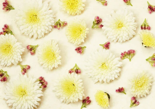 Starý ročník papíru s bílými nostiky a malými růžovými květy — Stock fotografie