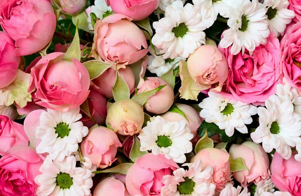 Крупный план розовых роз и букета белых ромашек — стоковое фото