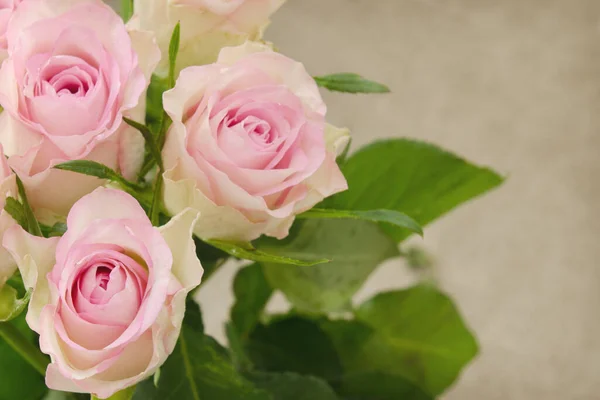 Bela Rosa Branca Flores Buquê Canto Fundo Cinza — Fotografia de Stock