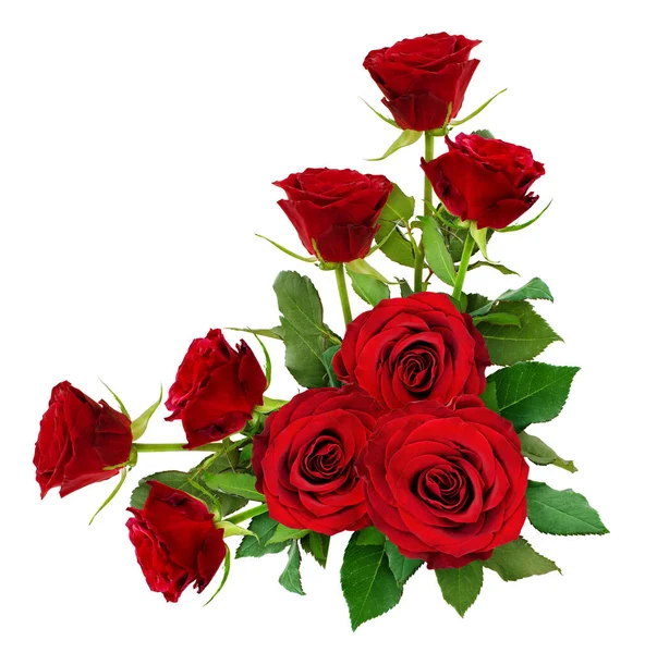 Röda Rosenblommor Med Blad Ett Hörn Arrangemang Isolerat Vitt Ovanifrån — Stockfoto