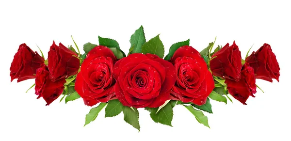 红色玫瑰花朵在白色上被隔离 顶部视图 — 图库照片