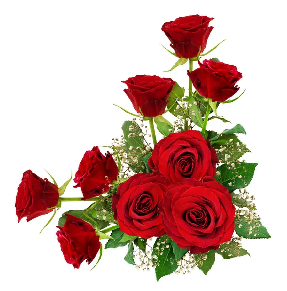 红色玫瑰和吉普赛花 叶子在角落排列 与白色隔离 顶部视图 — 图库照片