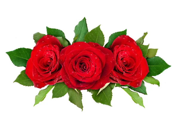 Σύνθεση Κόκκινων Τριαντάφυλλων Απομονωμένη Λευκό Χρώμα Άνω Όψη — Φωτογραφία Αρχείου