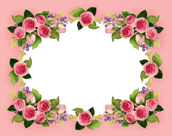 Ροζ Τριαντάφυλλο Λουλούδια Και Μπουμπούκια Πλαίσιο Ροζ Φόντο Επίπεδη Άνω — Φωτογραφία Αρχείου