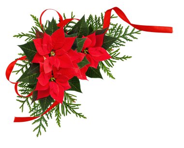 Kırmızı noktalı Noel çiçekleri beyaz arka planda izole edilmiş kurdele yayı ile köşe düzenleme