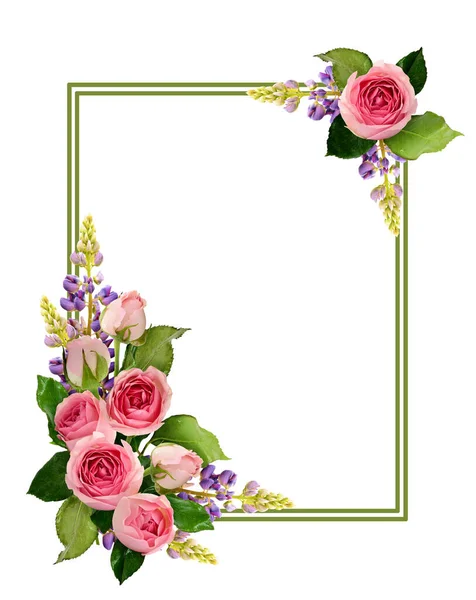 Ροζ Τριαντάφυλλο Λουλούδια Και Μπουμπούκια Γωνία Ρυθμίσεις Και Ένα Πλαίσιο — Φωτογραφία Αρχείου