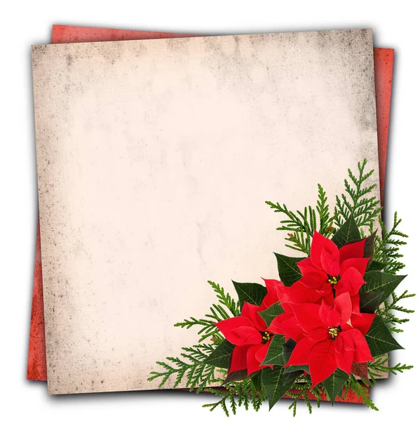 Karácsonyi Piros Poinsettia Virágok Elrendezése Grunge Papír Háttér — Stock Fotó