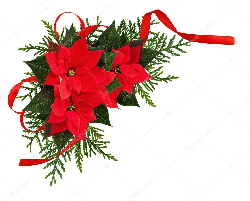 Christmas red poinsettia flowers corner arrangement with ribbon bow isolated on white background