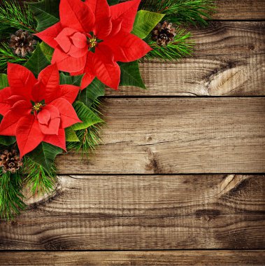 Kırmızı noktalı çiçekler ve eski ahşap arka planda Noel ağacı dalları. Tatil düzenlemesi. Düz yatıyordu. Üst görünüm. 