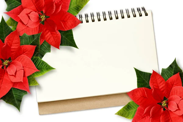 Poinsettia Natale Fiori Nota Sfondo Bianco Piatto Vista Dall Alto — Foto Stock