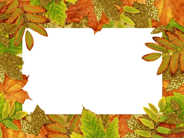 金黄多彩的秋叶相框 背景为白色卡片 平躺在床上顶部视图 — 图库照片