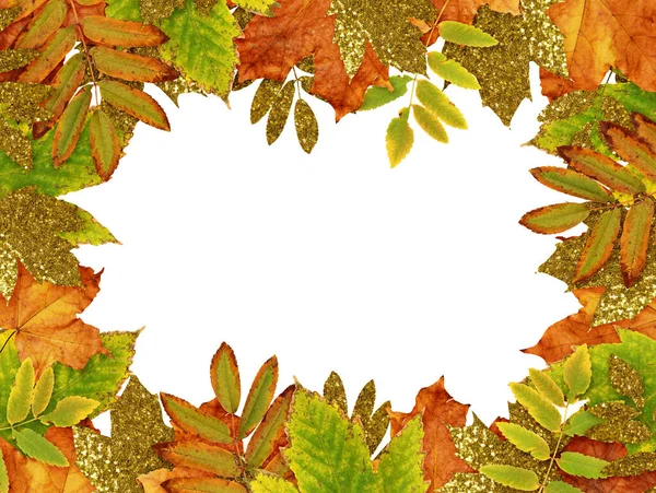 金黄多彩的秋天树叶在白色的背景上相互隔离 平躺在床上顶部视图 — 图库照片