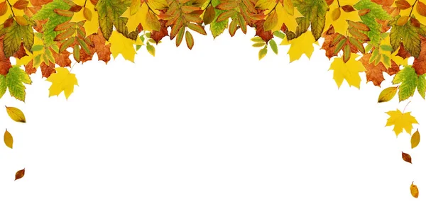 Πολύχρωμα Φύλλα Φθινόπωρο Κορυφή Κεφαλίδα Απομονώνονται Λευκό Φόντο Επίπεδη Άνω — Φωτογραφία Αρχείου