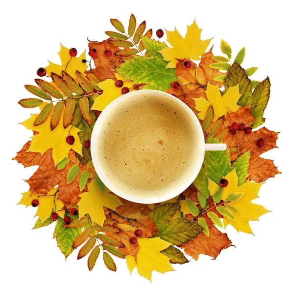 Cup Coffee Autumn Decoration Dry Colored Leaves Isolated White Background — Stock Photo, Image
