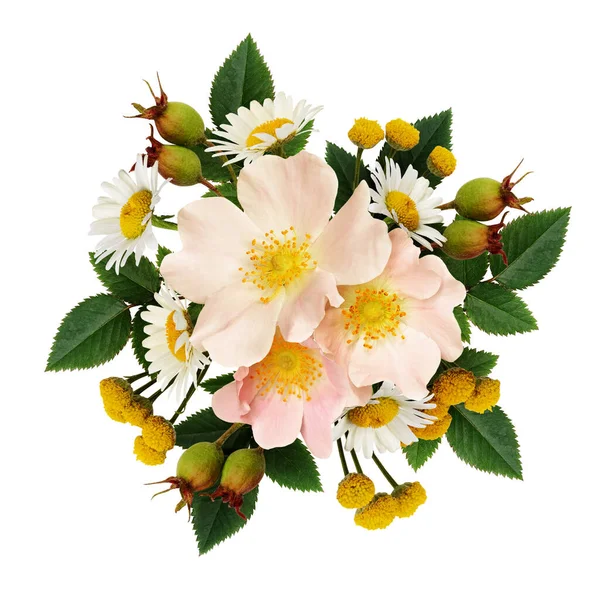 Wild Flowers Arrangement Isolated White — Stock Photo, Image