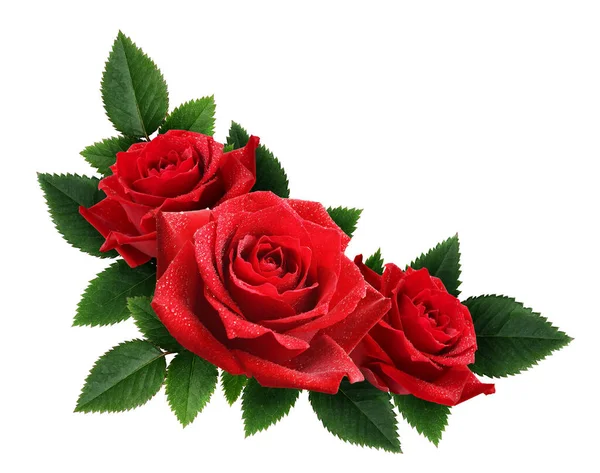 Röda Ros Blommor Hörn Arrangemang Isolerat Vitt — Stockfoto
