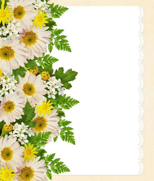 Rose Astern Und Wildblumen Auf Weißem Und Rosa Hintergrund — Stockfoto