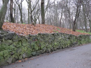 Renkli bir sonbahar parkında bir patika