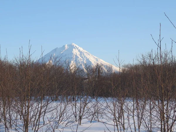 Hermoso Paisaje Volcánico Invierno Península Kamchatka Vista Erupción Activa Del — Foto de Stock