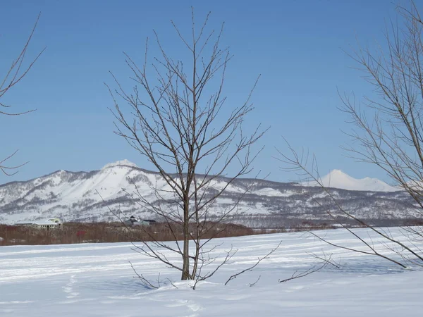 El invierno en Kamchatka. Nieve y heladas. Vista de colinas y árboles — Foto de Stock