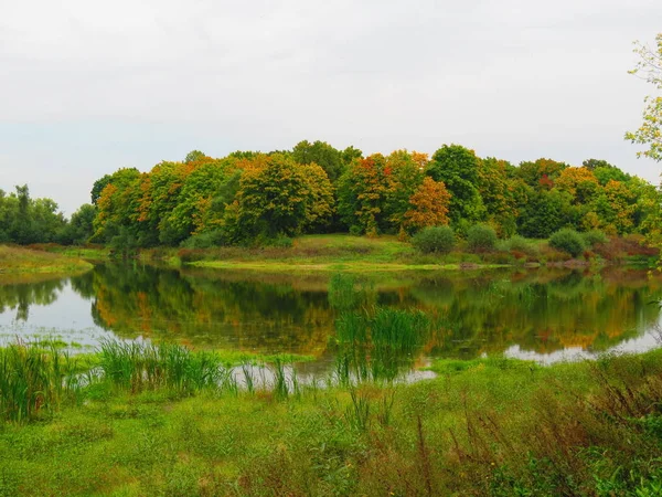 Lago no início do outono, árvores no fundo — Fotografia de Stock