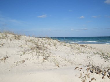 Tunus, kum ve kabukları ıssız kumsalı. Kasım