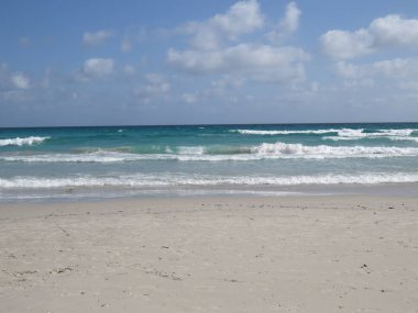 Tunus, kum ve kabukları ıssız kumsalı. Kasım