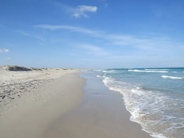 Praia Areia Deserta Tunísia Areia Conchas Novembro — Fotografia de Stock