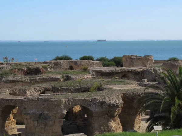 Cartago Cartago Ruínas Capital Antiga Civilização Cartaginesa Património Mundial Unesco — Fotografia de Stock
