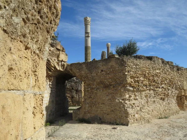 Carthago Carthage Ruines Capitale Ancienne Civilisation Carthaginoise Site Patrimoine Mondial — Photo